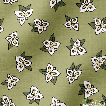 Sego lily flowers native to the Utah desert wilderness, tossed on a light sage green background.