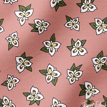Sego lily flowers native to the Utah desert wilderness, tossed on a dusty pink background.
