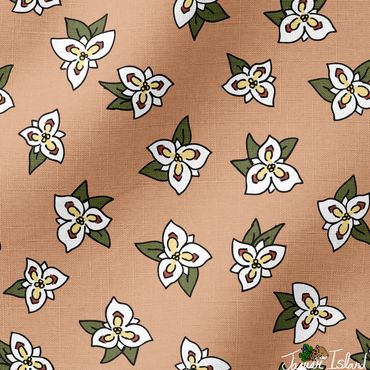Sego lily flowers native to the Utah desert wilderness, tossed on a sandy tan background.