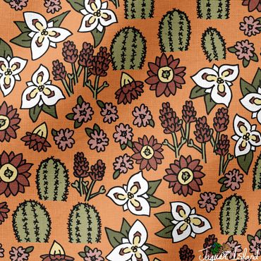 A variety of desert plants & flowers in a garden such as sego lily, cactus and indian paintbrush.