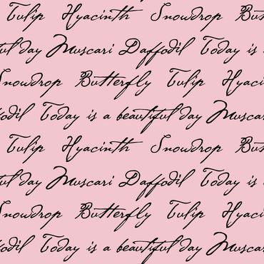 Cursive words hyacinth, snowdrop, daffodil, muscari, tulip, today is a beautiful day on pink ground