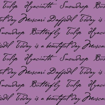 Cursive words hyacinth snowdrop, daffodil, muscari, tulip, today is a beautiful day on purple ground