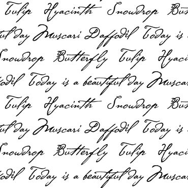 Cursive words hyacinth, snowdrop, daffodil, muscari, tulip, today is a beautiful day on white ground