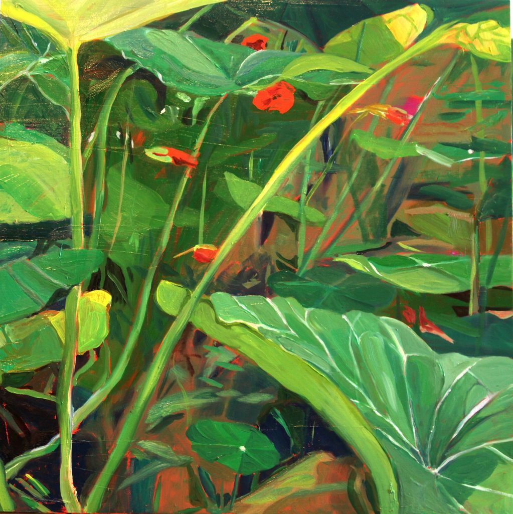 Painting of nasturtium leaves in a dense grouping