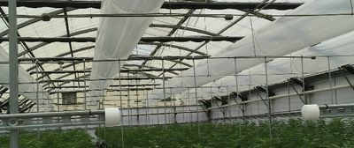 Convection Tubing
Poly Tubing
Greenhouse ventilation
