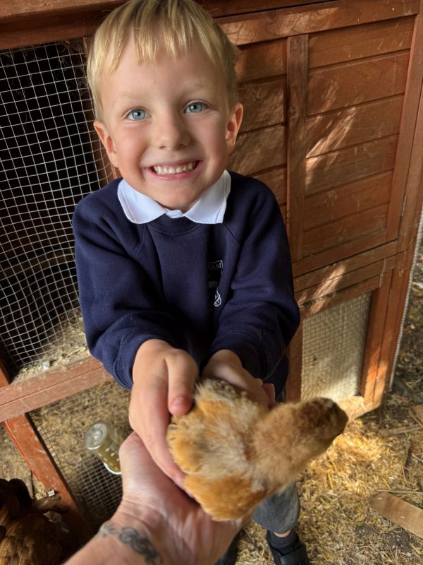 Happy boy holding a chick in a wooden coop.