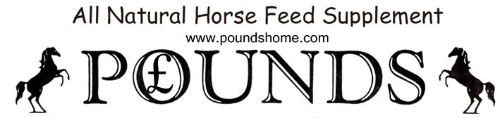 NATURAL horse feed supplement 