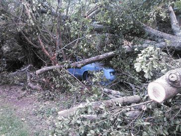 Blue car under fallen tree branches and debris after a storm