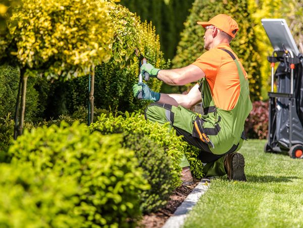 Garden Worker Trimming Plants