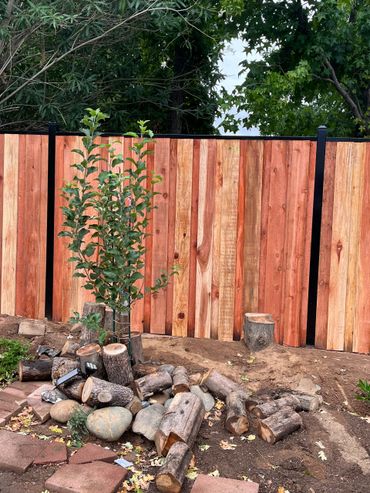 Redwood-Iron fence
