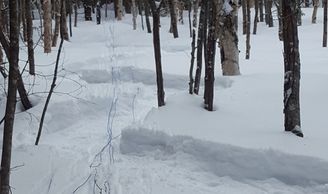 VGI Vickers geophysics winter snowshoe trails meander up hill for geophysics mining exploration.
