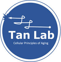 Jay Tan Lab