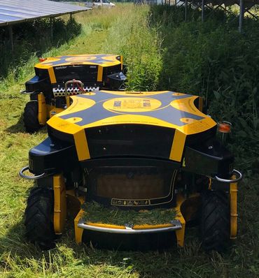 Two yellow and black robotic lawn mowers cutting tall grass in a green field.