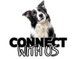 Border collie with text 'Connect with us' below.
