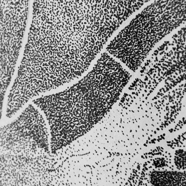Gaia Artworks artist Turtle stippling drawing available as Original Artwork & Art Prints