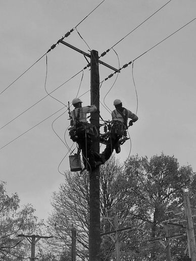 Two linemen working on a utility pole amidst trees in black and white.
