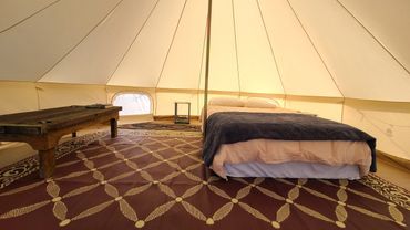 Real queen mattress, nice rugs, antique table. Comfy and calm.