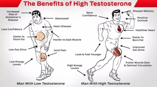 Testosterone, testosterone treatment, testosterone replacement therapy, libido, hormone replacement