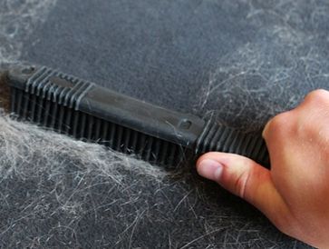 Pet Hair Removal San Jose