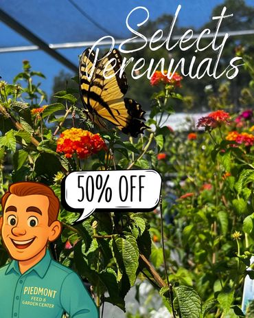 Select Perennials = 50% off