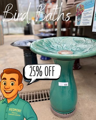 Bird Baths = 25% off