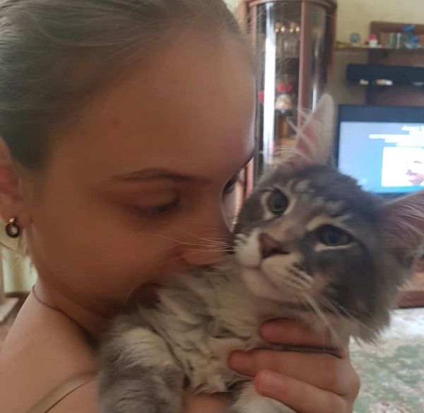 maine coon kittens
maine coon for sale
Maine Coon Cats For Sale
maine coon kittens for sale