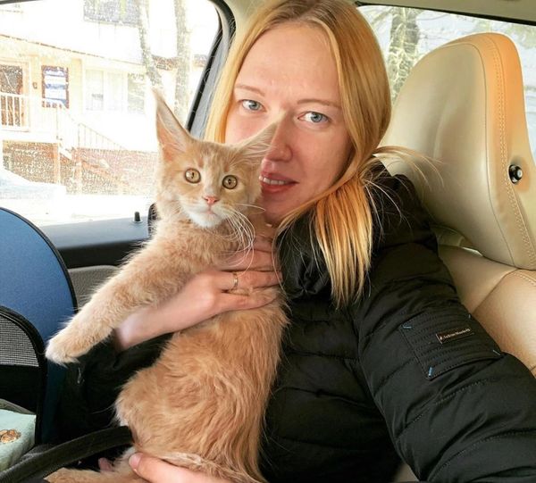 maine coon kittens
maine coon for sale
Maine Coon Cats For Sale
maine coon kittens for sale