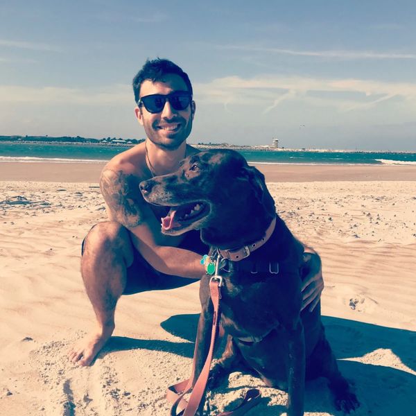 Man with sunglasses happily poses with his dog on a sunny beach.