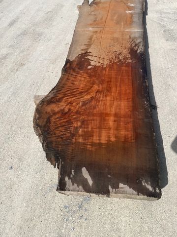 A large wooden slab with a rich, glossy finish on a concrete surface.
