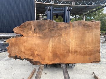 A large, rough-cut wooden slab held by forklift forks outdoors.