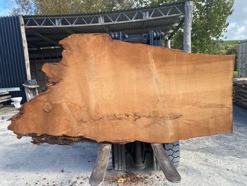 Large raw wooden slab with natural edges outdoors on forklift.