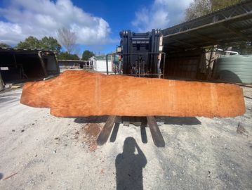 Large wooden slab being lifted by forklift outdoors.