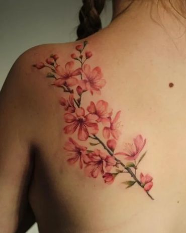 Beautiful colour realism cherry blossom tattoo