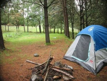 Disfruta alrededor de una fogata