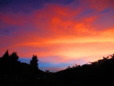 Disfruta de coloridos atardeceres en el bosque