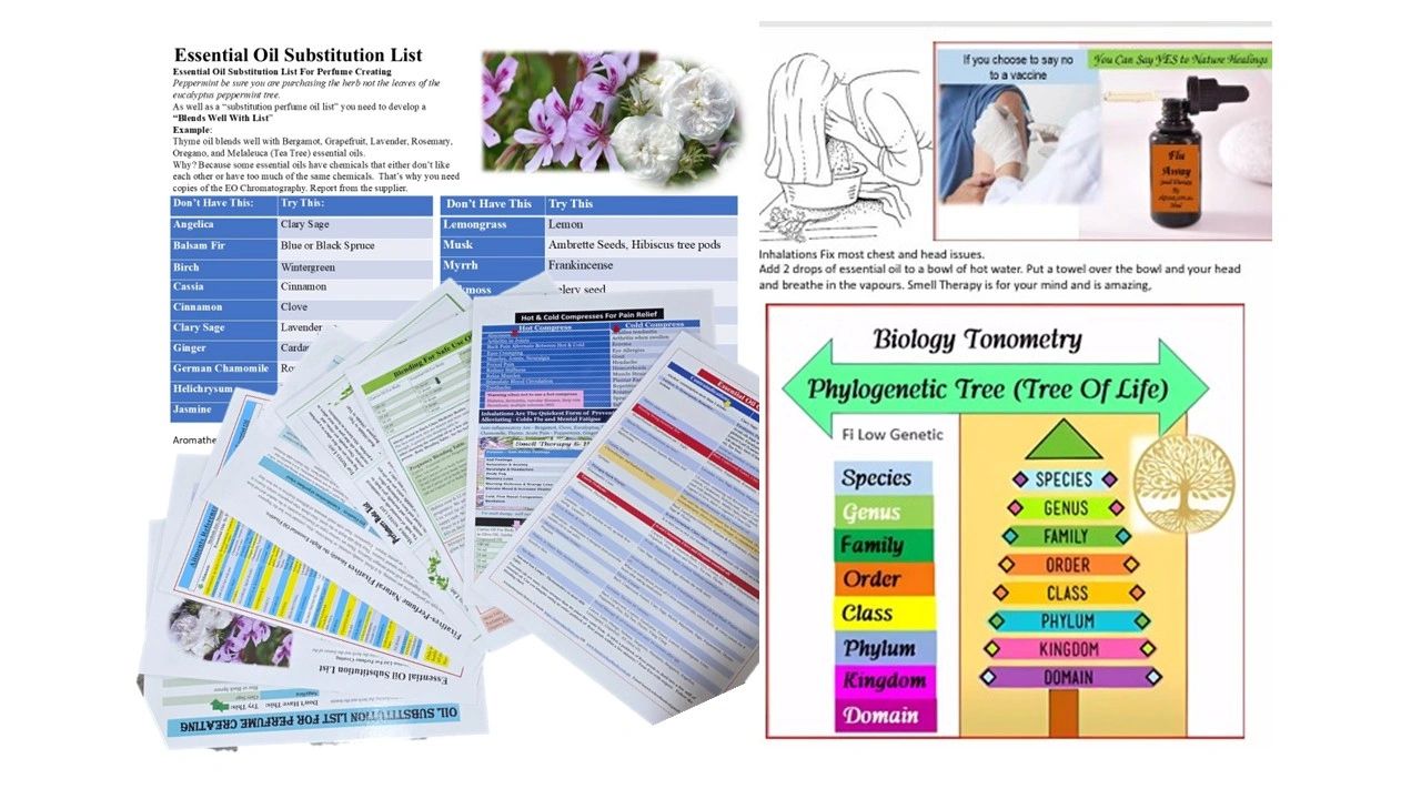 Unwrap the Magic of Easy Aromatherapy Reference Charts