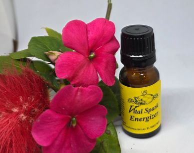 An essentail Oils 10ml Energy blend call Vital Spark Energizer
