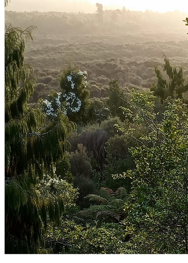 expansive views from your accommodation