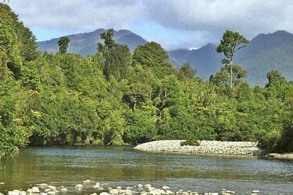 walk to the Totara River