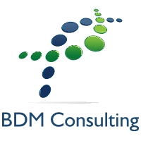 BDM Consulting Services, LLC