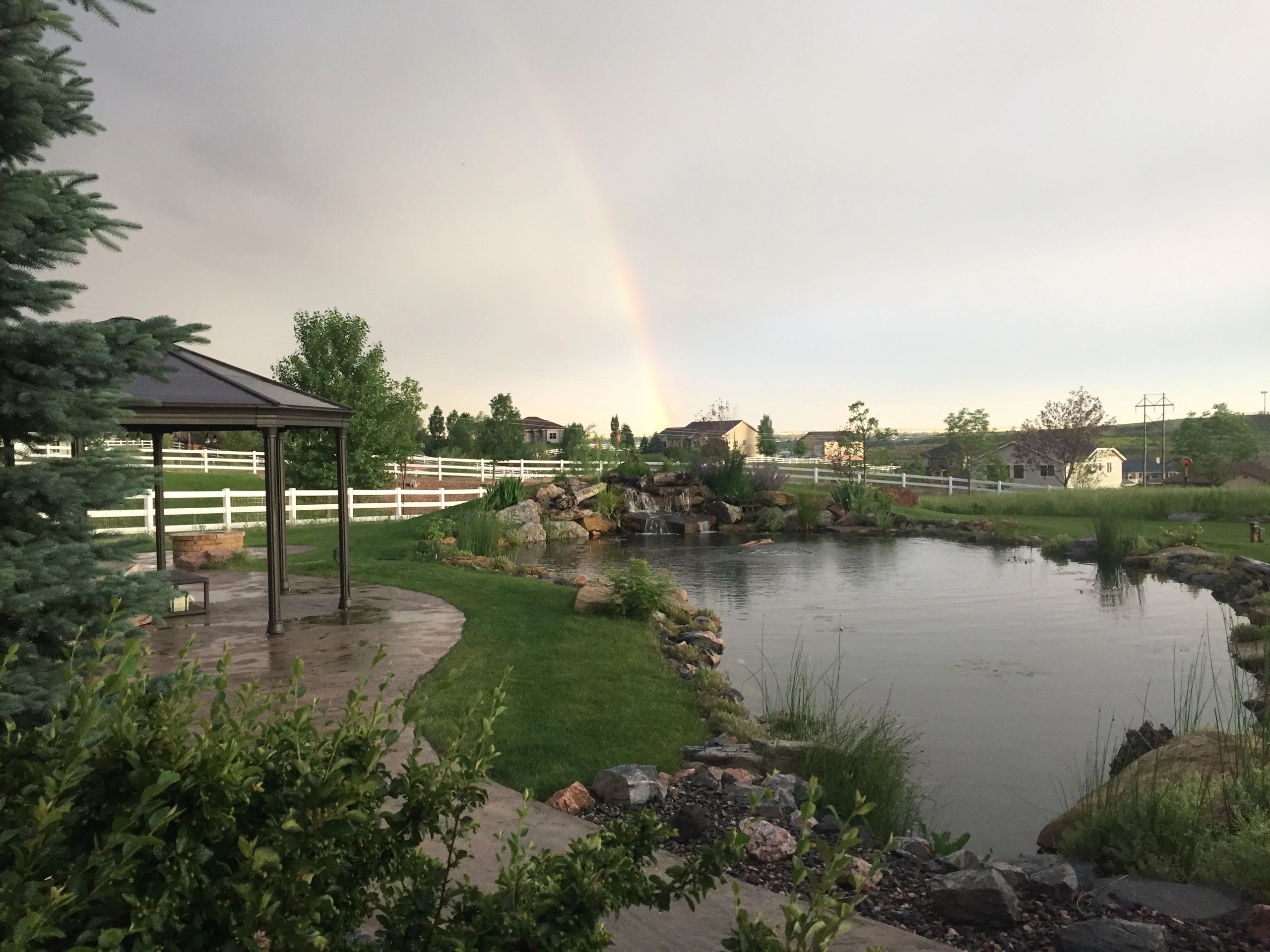 Todd Creek Koi & Pond