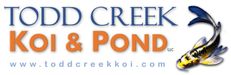 Todd Creek Koi & Pond