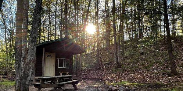 cozy rustic cabin secluded forest privately maintained trails, sleeps 5, has minifridge, microwave