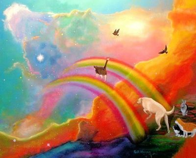 Picture of animals crossing the rainbow bridge.
