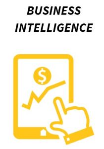Your Key Information at your Finger Tips
Gain business insights and monitor your key performance In