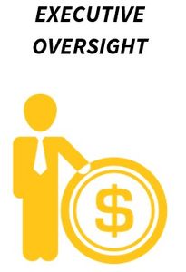 Seeking Senior Management Experience and Expertise?
Chief Financial Officer