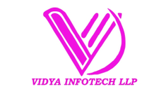 Vidya Infotech LLP