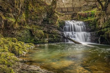 A serene waterfall cascading into a clear pool surrounded by mossy rocks and greenery.