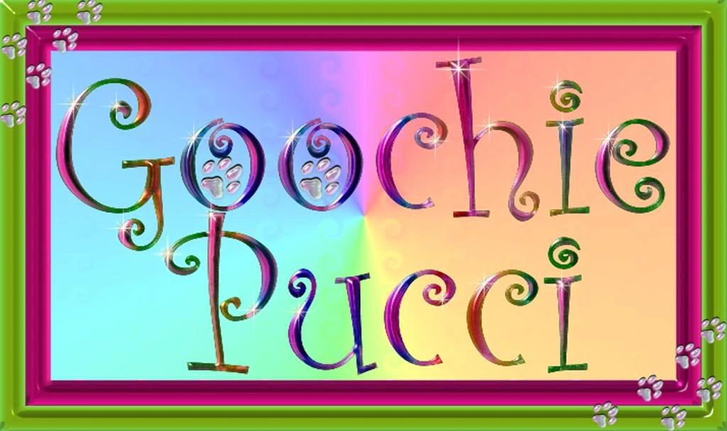 Pet products, pet clothing, dog collars, dog leashes, gift cards