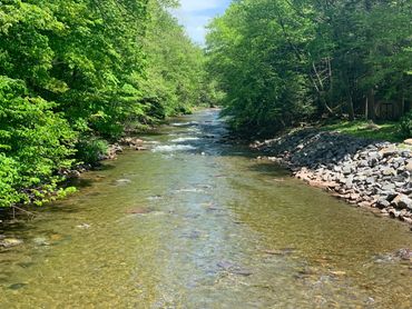 Fishing Creek of Columbia county flowing through lush green forest with rocky banks.